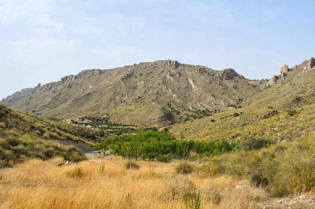 Ubebygd land til salgs i Blanca - € 98 000 (Ref: 9994270)