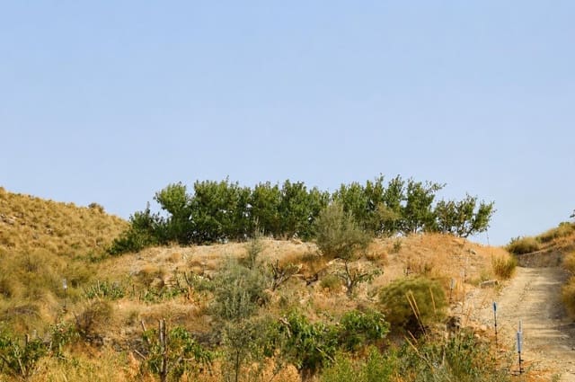 Ubebygd land til salgs i Blanca - € 98 000 (Ref: 9994270)