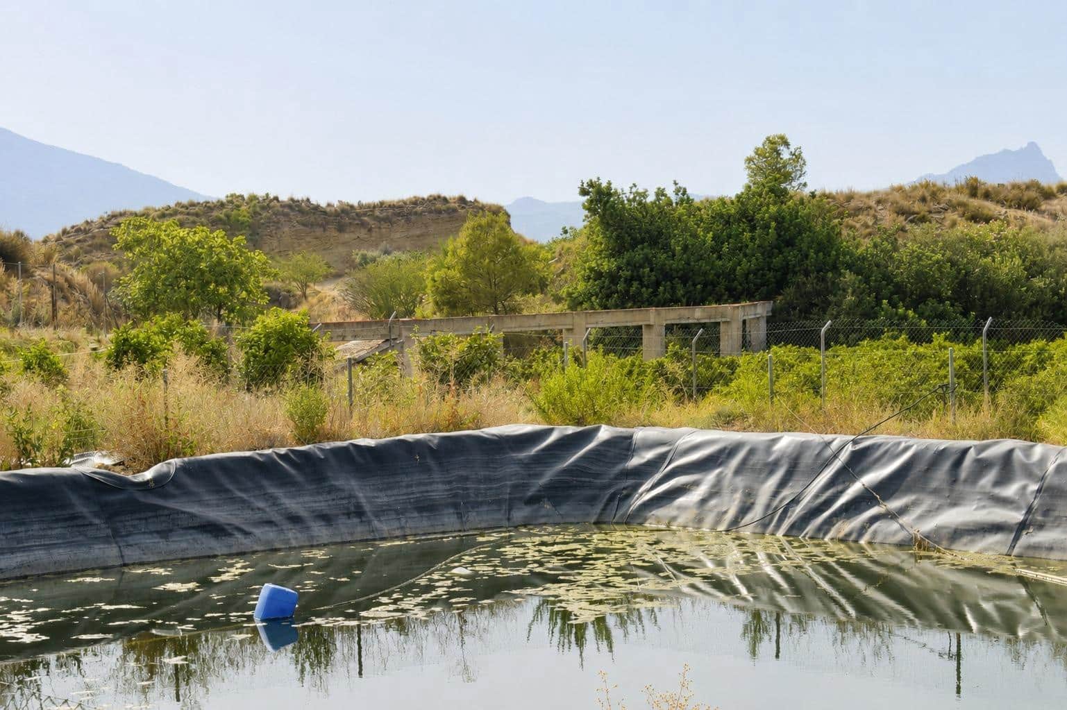 Ubebygd land til salgs i Blanca - € 98 000 (Ref: 9994270)