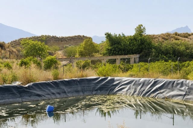 Ubebygd land til salgs i Blanca - € 98 000 (Ref: 9994270)
