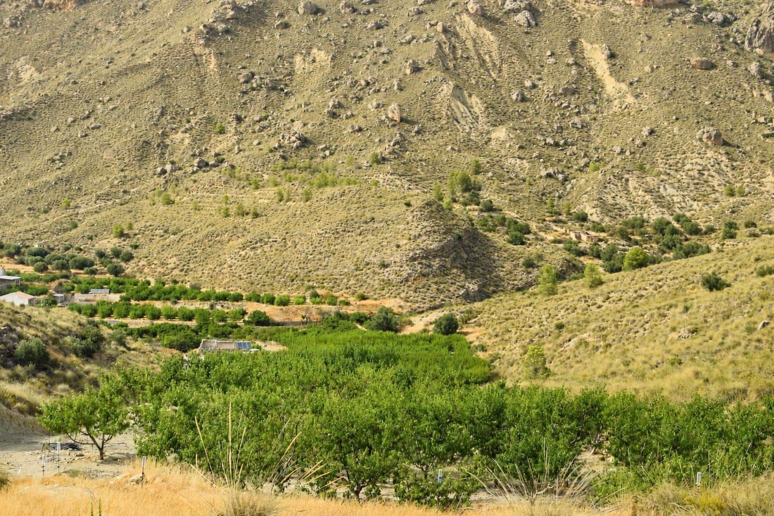 Ubebygd land til salgs i Blanca - € 98 000 (Ref: 9994270)