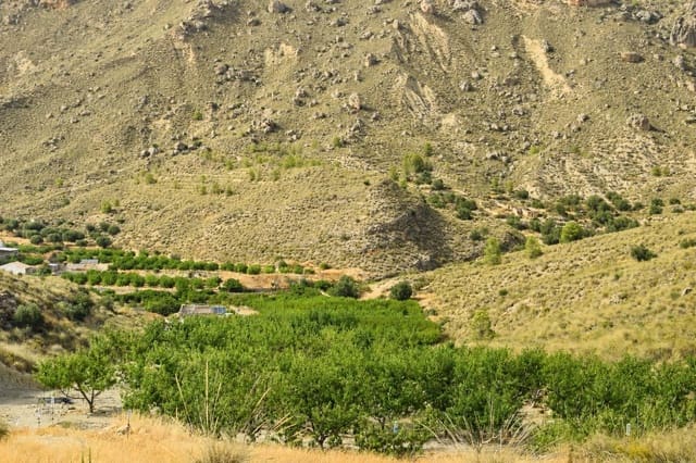 Ubebygd land til salgs i Blanca - € 98 000 (Ref: 9994270)