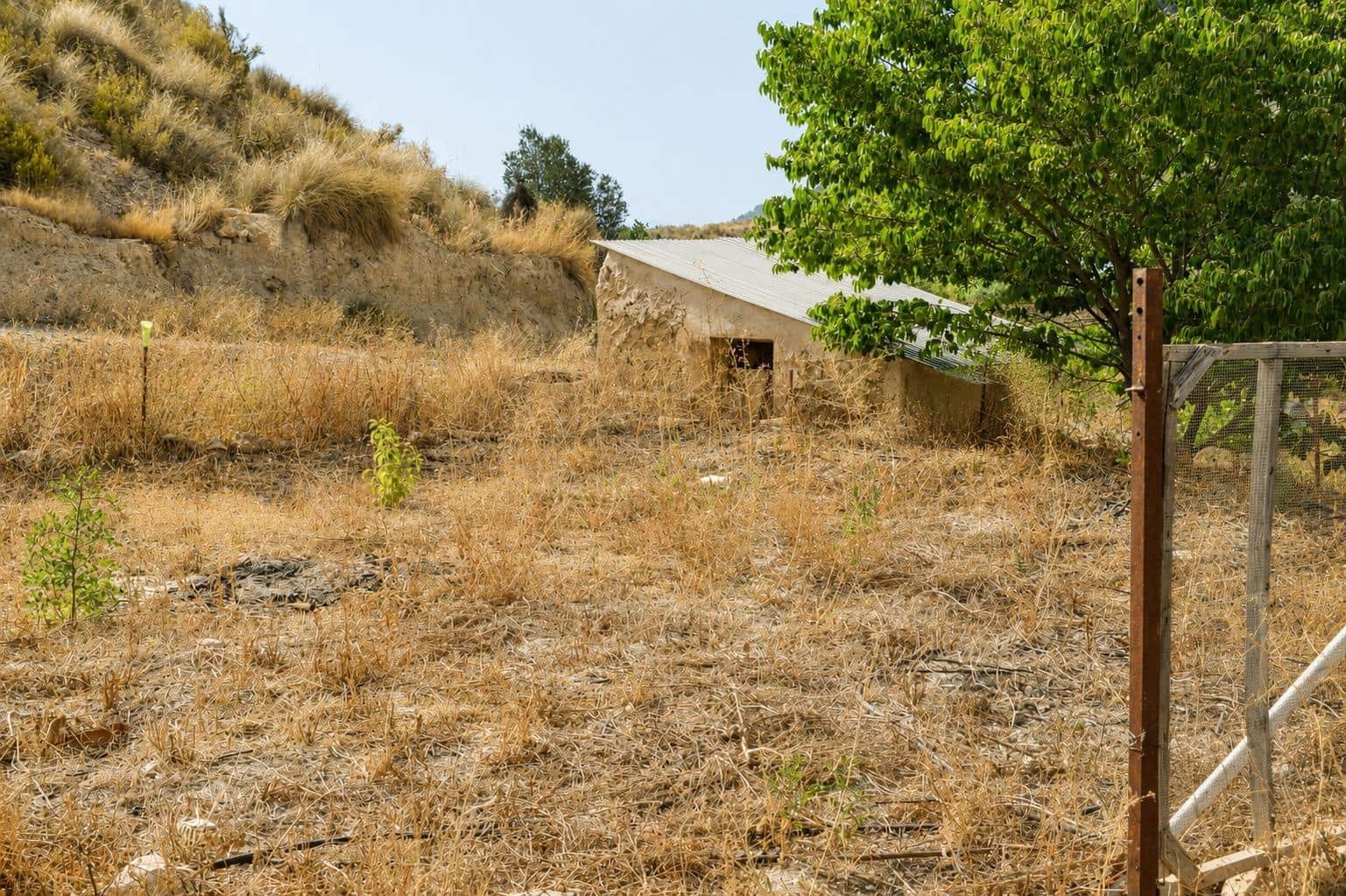 Ubebygd land til salgs i Blanca - € 98 000 (Ref: 9994270)