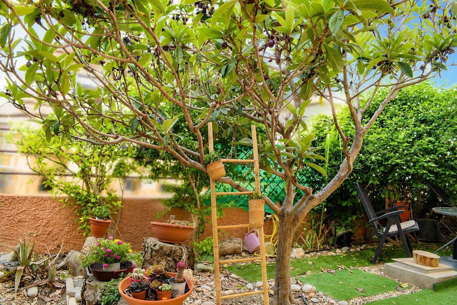3 slaapkamer Flat te koop in Cartagena - € 245.000 (Ref: 9994274)