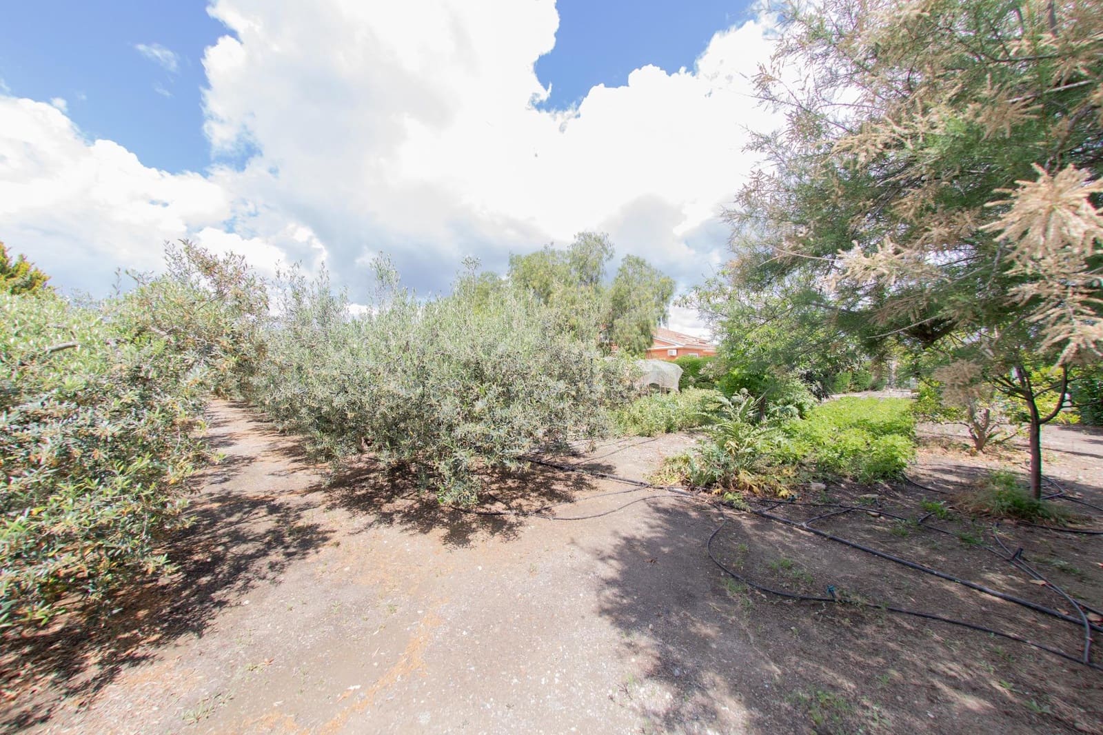 5 bedroom Finca/Country House for sale in Puerto Lumbreras with pool - € 309,900 (Ref: 9306707)