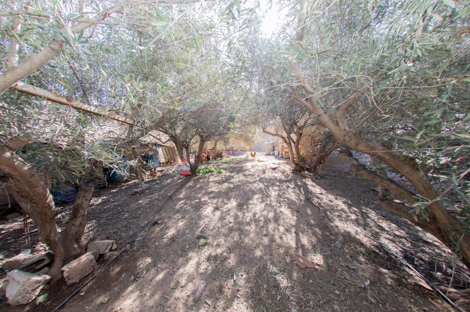 3 quarto Quinta/Casa Rural para venda em Purias - 114 900 € (Ref: 9619319)