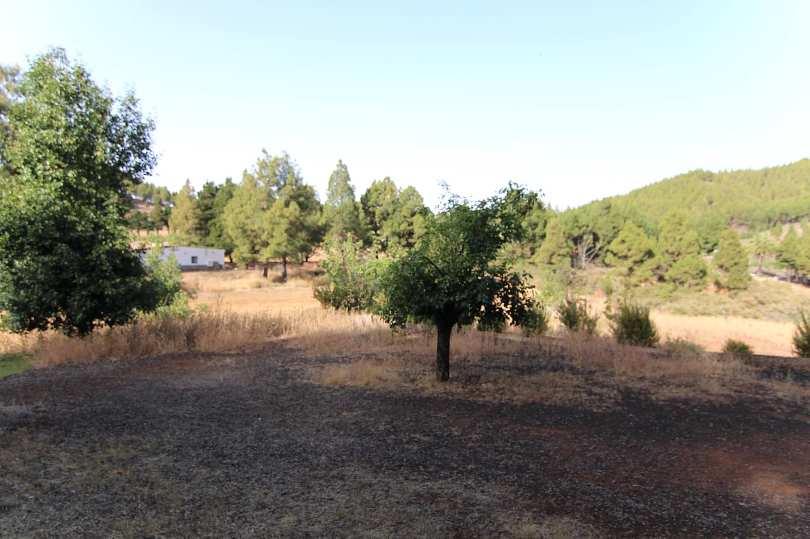 2 soveværelse Finca/Landehus til salg i Tejeda - € 269.000 (Ref: 9123889)