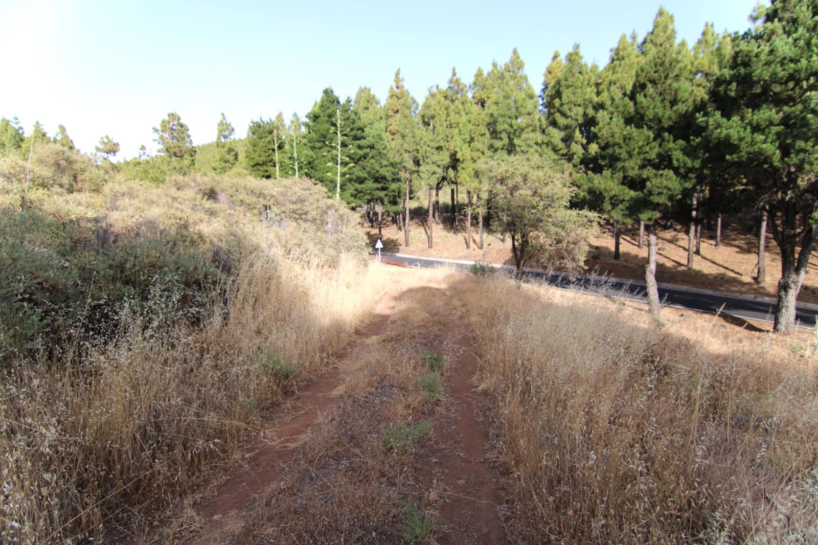 2 soveværelse Finca/Landehus til salg i Tejeda - € 269.000 (Ref: 9123889)