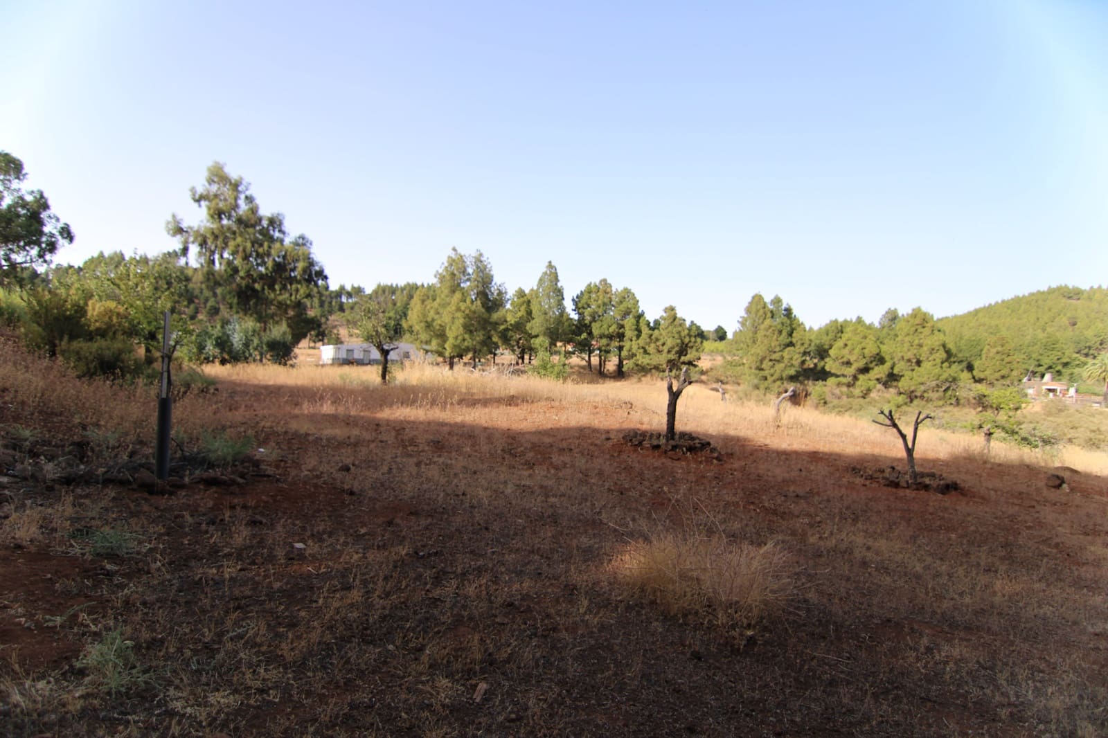 2 soveværelse Finca/Landehus til salg i Tejeda - € 269.000 (Ref: 9123889)