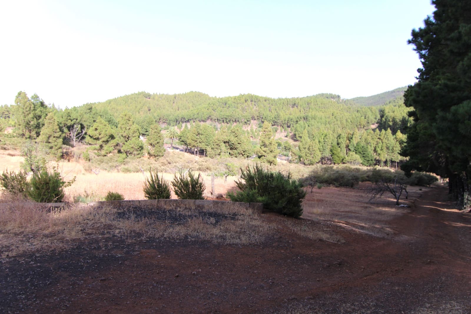 2 soveværelse Finca/Landehus til salg i Tejeda - € 269.000 (Ref: 9123889)