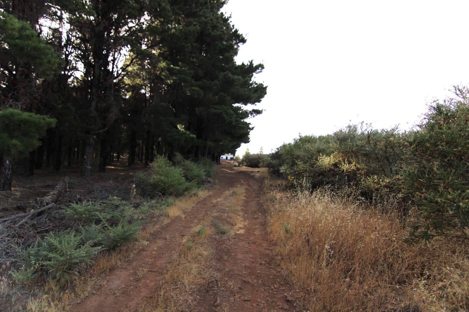 2 soveværelse Finca/Landehus til salg i Tejeda - € 269.000 (Ref: 9123889)