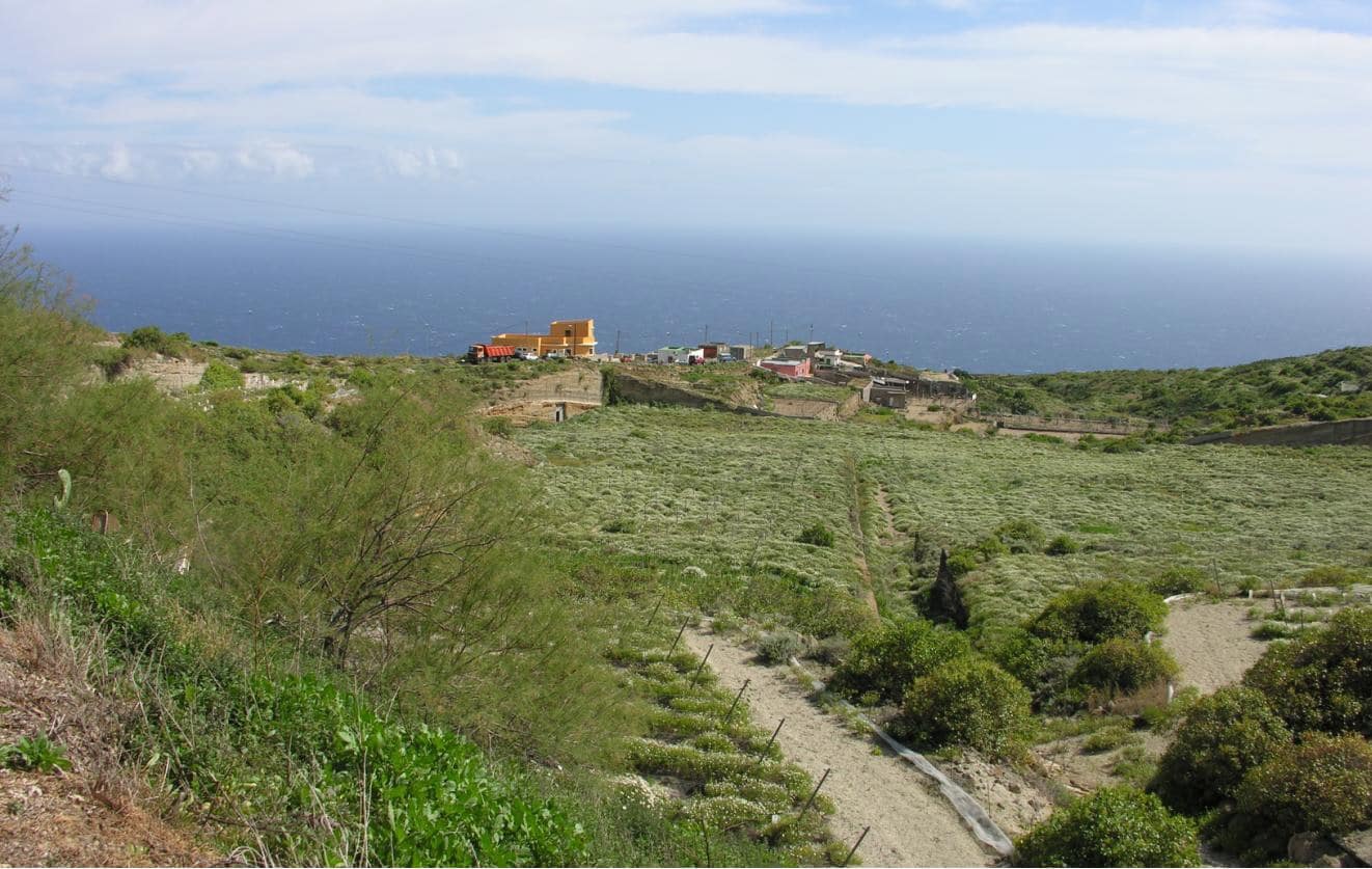 Grunde uden byggetilladelser til salg i Guimar - € 1.150.000 (Ref: 9136446)