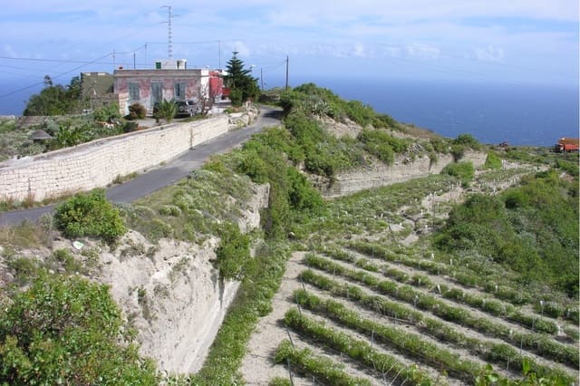 Undeveloped Land for sale in Güímar - € 1,150,000 (Ref: 9136446)