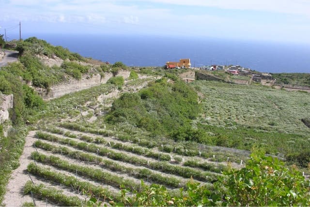 Undeveloped Land for sale in Güímar - € 1,150,000 (Ref: 9136446)