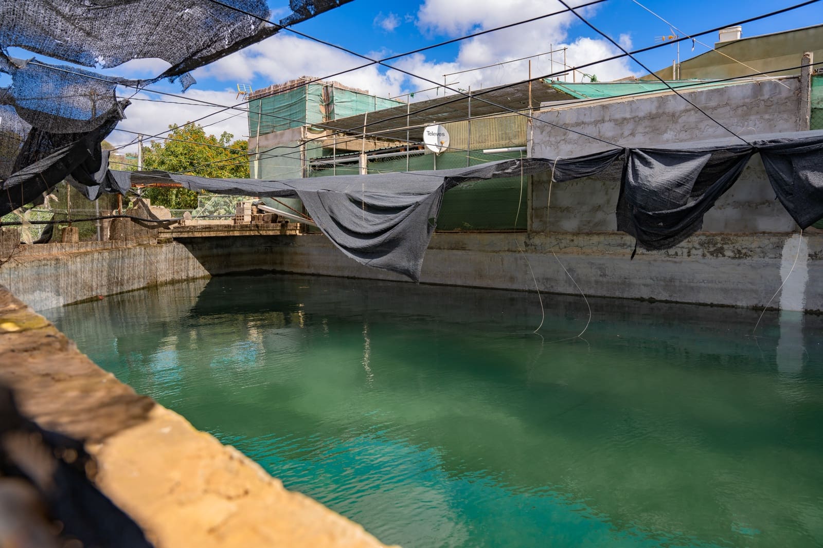 3 chambre Villa/Maison à vendre à Telde - 395 000 € (Ref: 9656613)