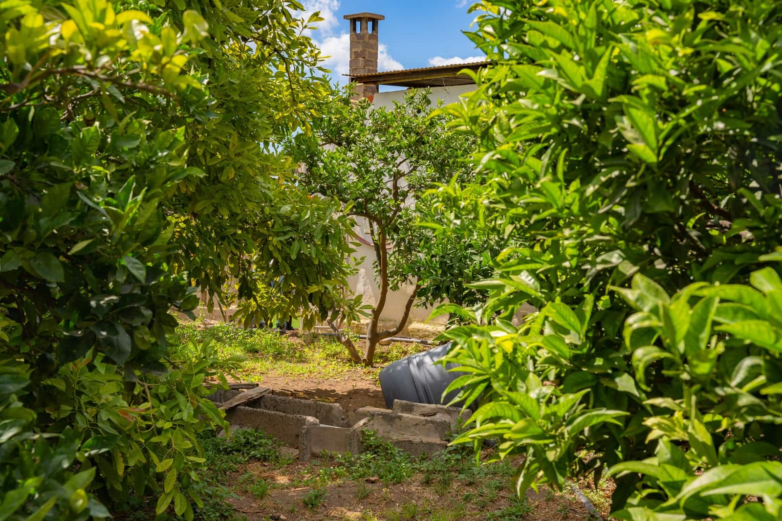 3 chambre Villa/Maison à vendre à Telde - 395 000 € (Ref: 9656613)