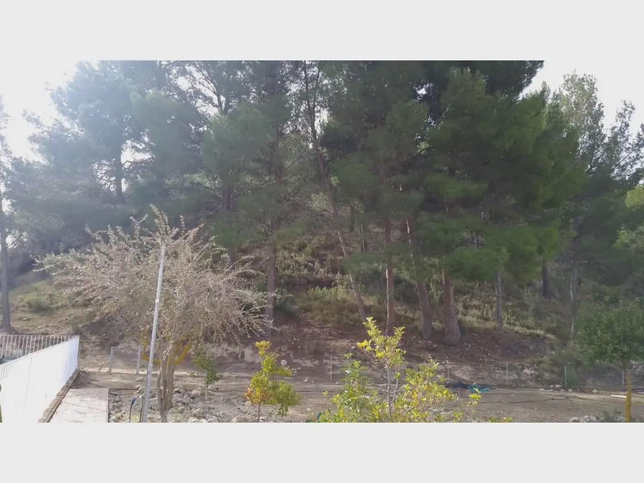 6 soverom Finca/Herregård til salgs i Petrel / Petrer med svømmebasseng garasje - € 250 000 (Ref: 10059553)
