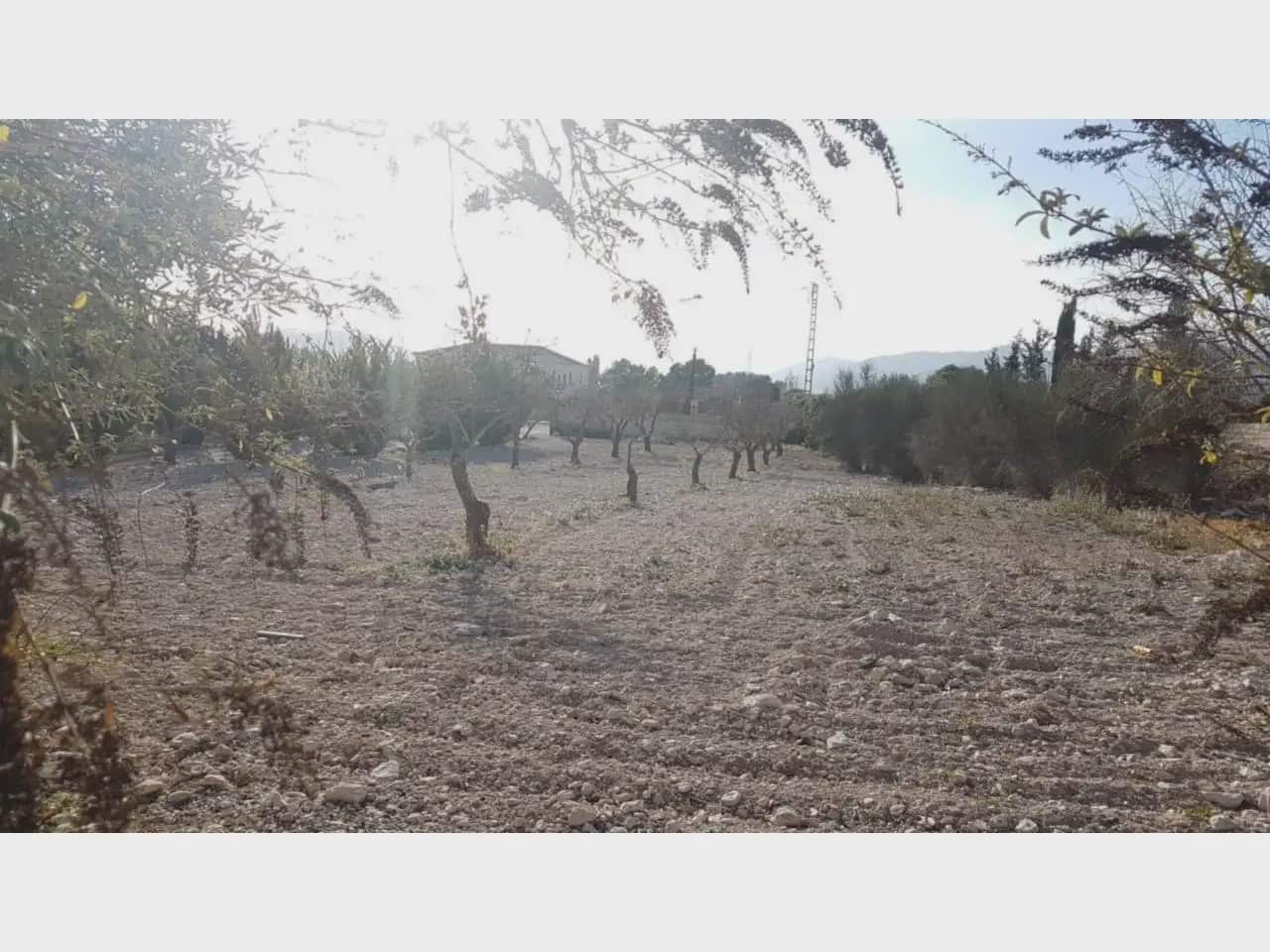 3 soveværelse Finca/Landehus til salg i Salinas - € 460.000 (Ref: 10059555)