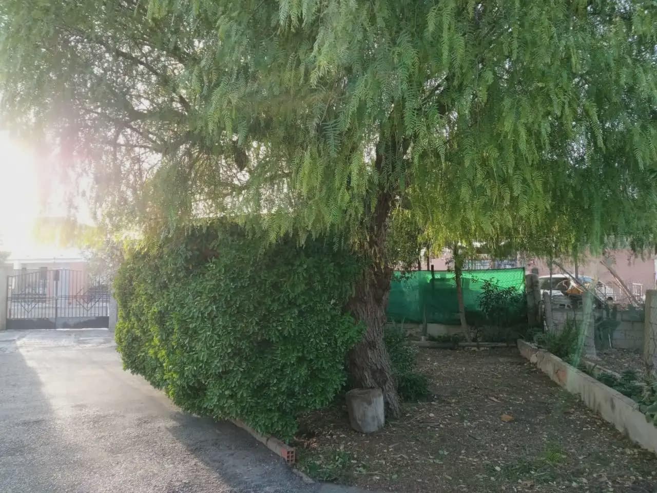3 bedroom Finca/Country House for sale in Elda - € 210,000 (Ref: 10059560)