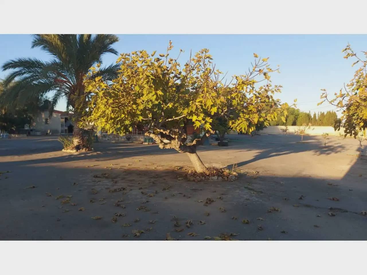3 bedroom Villa for sale in Elche / Elx with pool - € 320,000 (Ref: 10059569)