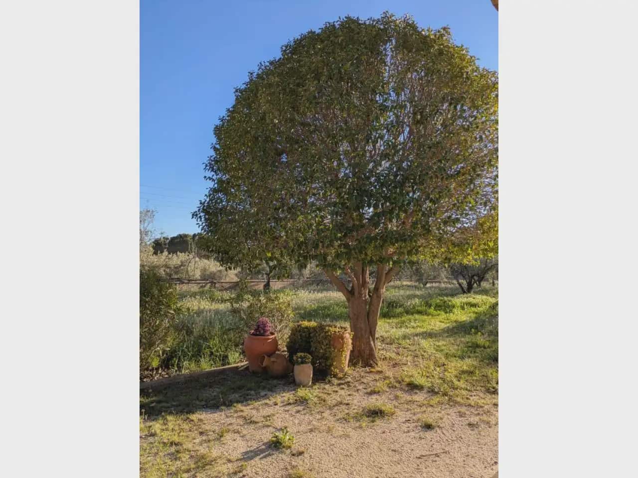 3 slaapkamer Finca/Landhuis te koop in Onil met zwembad - € 290.000 (Ref: 10140382)