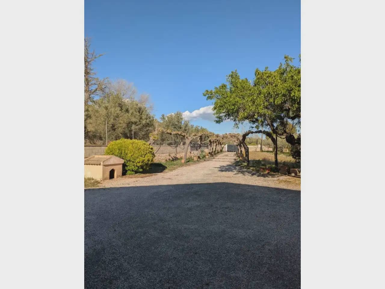 3 slaapkamer Finca/Landhuis te koop in Onil met zwembad - € 290.000 (Ref: 10140382)