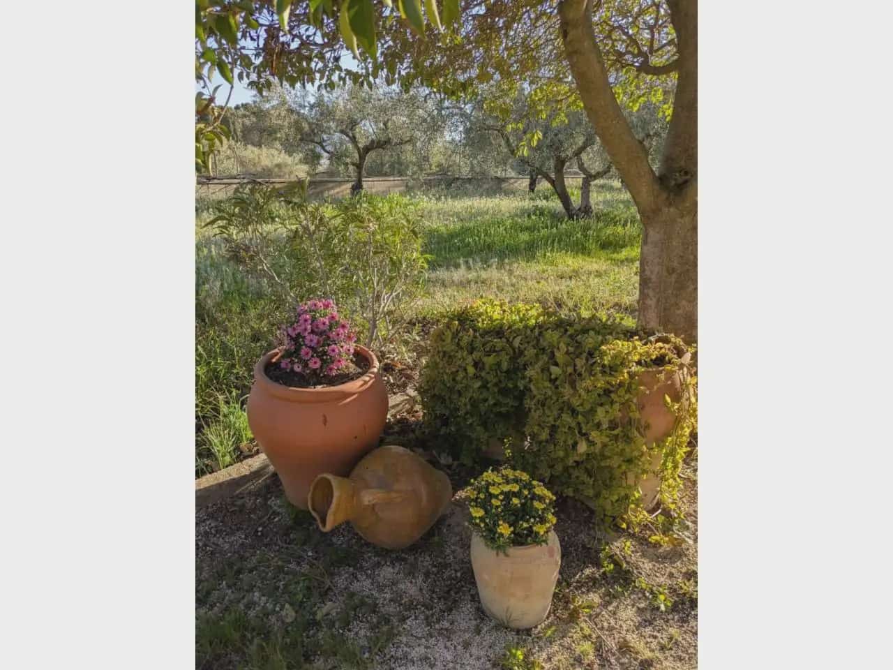 3 slaapkamer Finca/Landhuis te koop in Onil met zwembad - € 290.000 (Ref: 10140382)