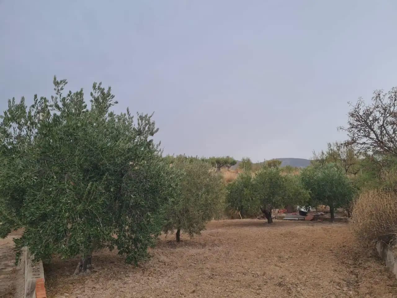 3 soverom Finca/Herregård til salgs i Petrel / Petrer med svømmebasseng - € 330 000 (Ref: 7132223)