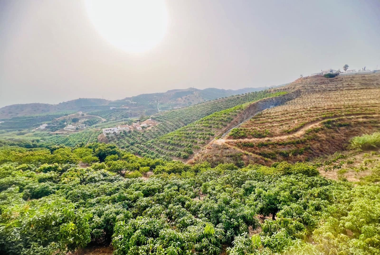 3 sovrum Finca/Hus på landet till salu i Almayate med pool garage - 425 000 € (Ref: 9202190)