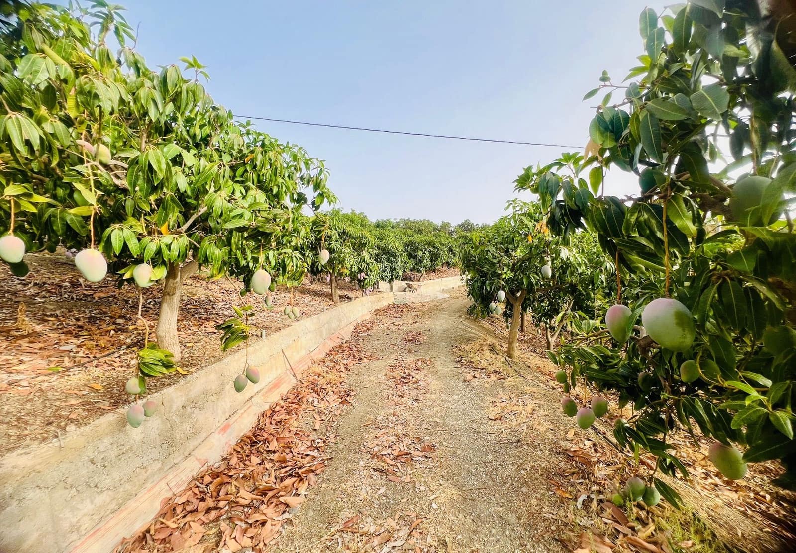 3 sovrum Finca/Hus på landet till salu i Almayate med pool garage - 425 000 € (Ref: 9202190)