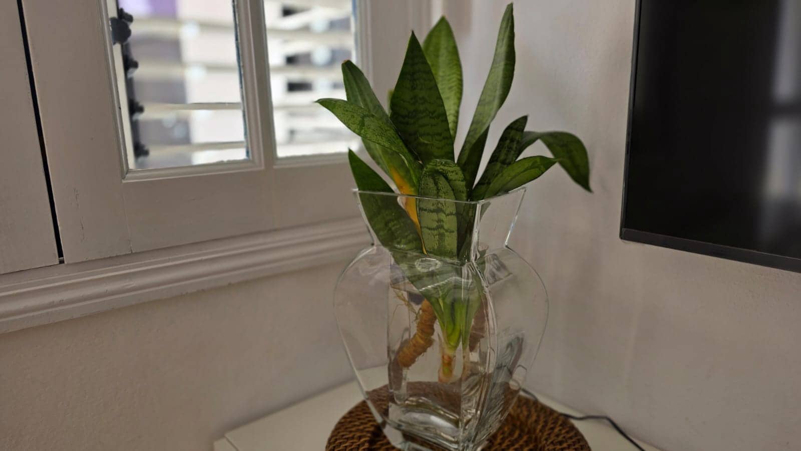 2 quarto Bungalow para arrendar em Maspalomas com piscina - 1 100 € (Ref: 8349104)