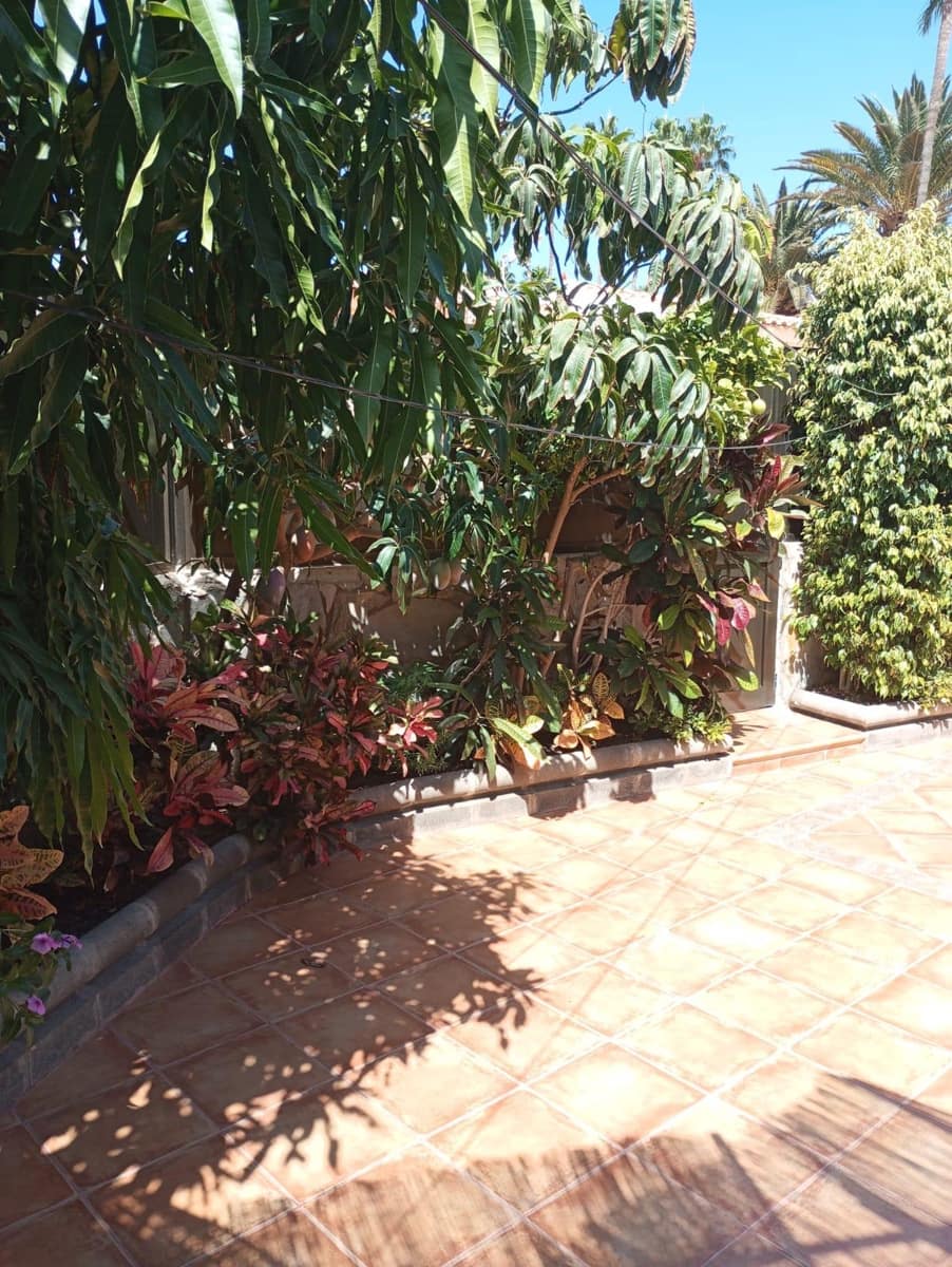 1 quarto Bungalow para arrendar em Playa del Ingles com piscina - 1 500 € (Ref: 8889033)