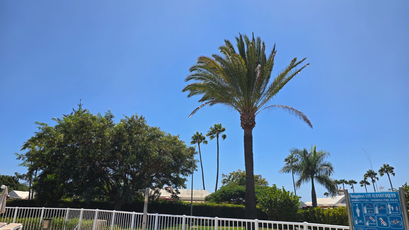 3 sypialnia Bungalow do wynajęcia w Maspalomas z basenem - 1 800 € (Ref: 9821855)
