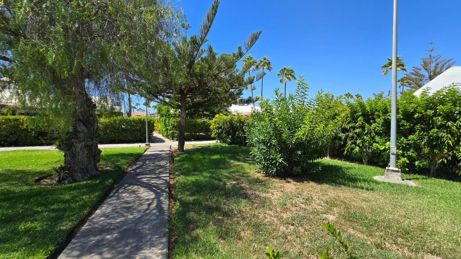 3 sypialnia Bungalow do wynajęcia w Maspalomas z basenem - 1 800 € (Ref: 9821855)