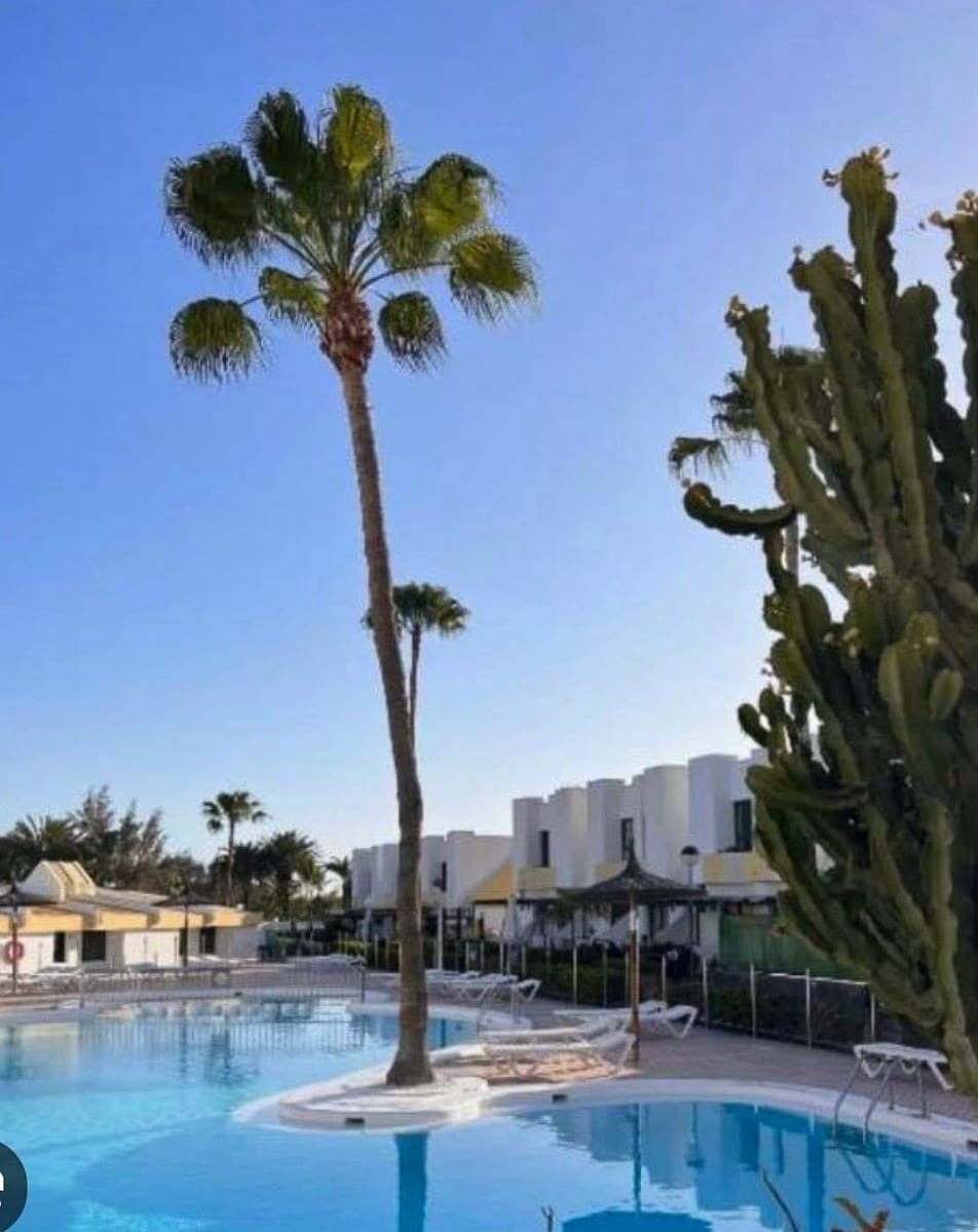 1 bedroom Bungalow for rent in Maspalomas with pool - € 1,200 (Ref: 9870563)