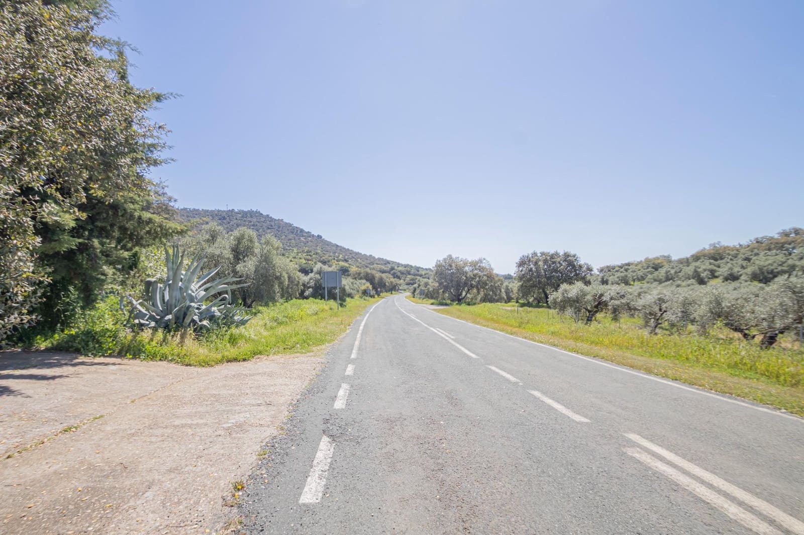 Undeveloped Land for sale in El Pedroso - € 300,000 (Ref: 8986111)