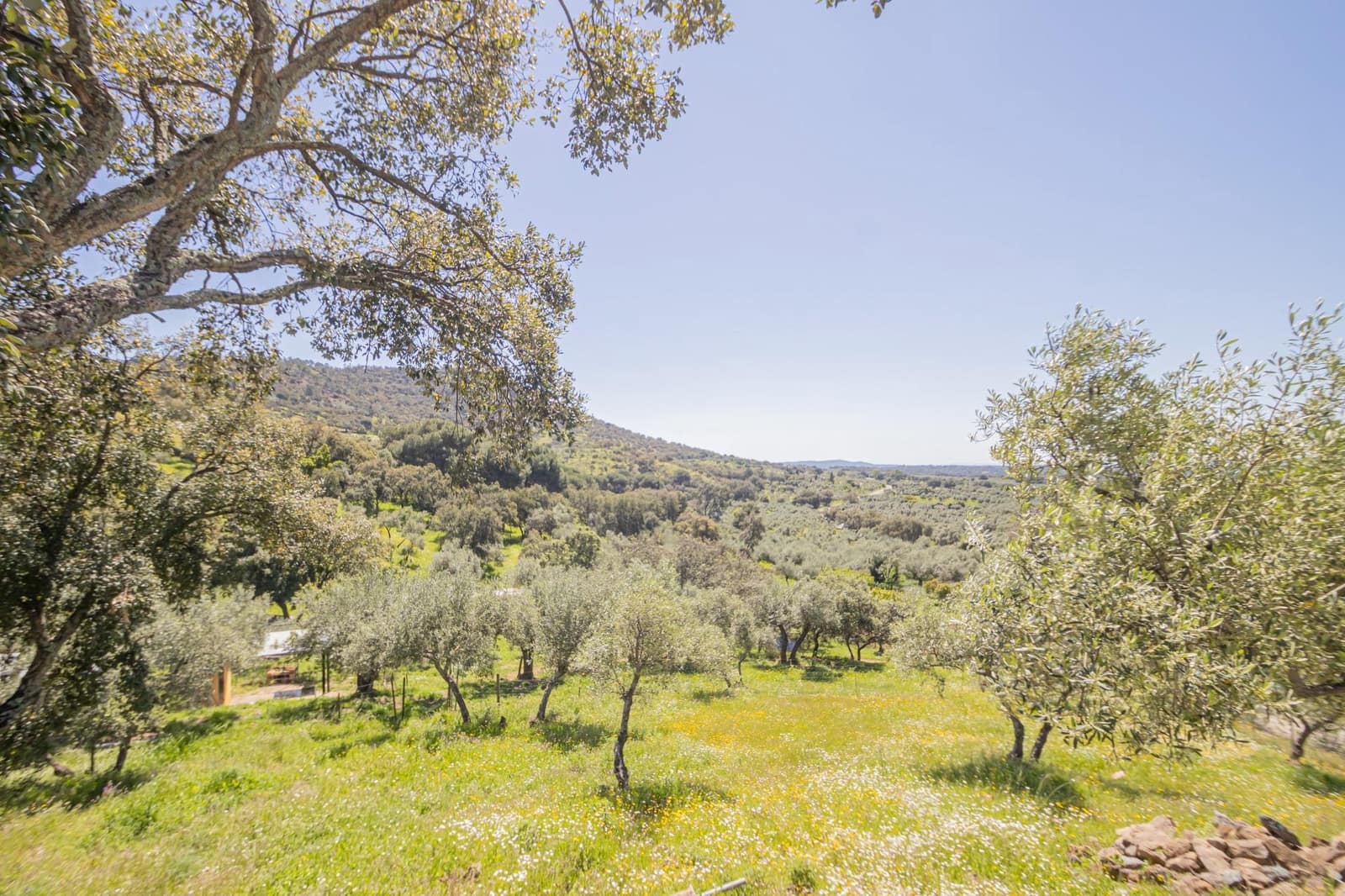 Undeveloped Land for sale in El Pedroso - € 300,000 (Ref: 8986111)