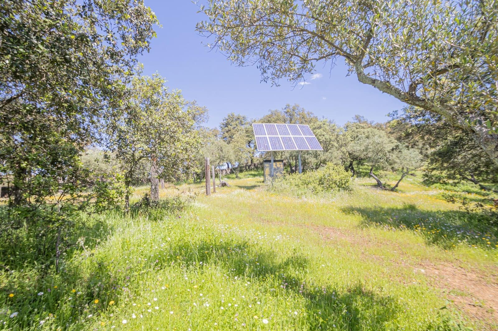 Undeveloped Land for sale in El Pedroso - € 300,000 (Ref: 8986111)