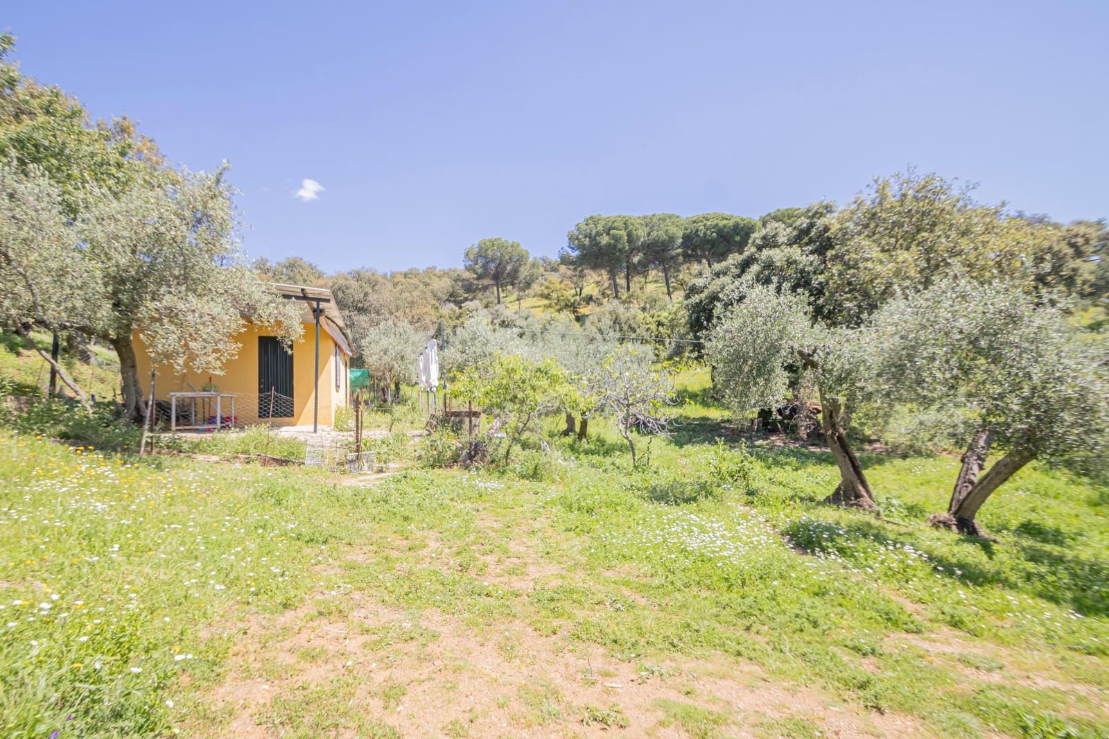 Terreno/Finca Rústica en El Pedroso en venta - 300.000 € (Ref: 8986111)