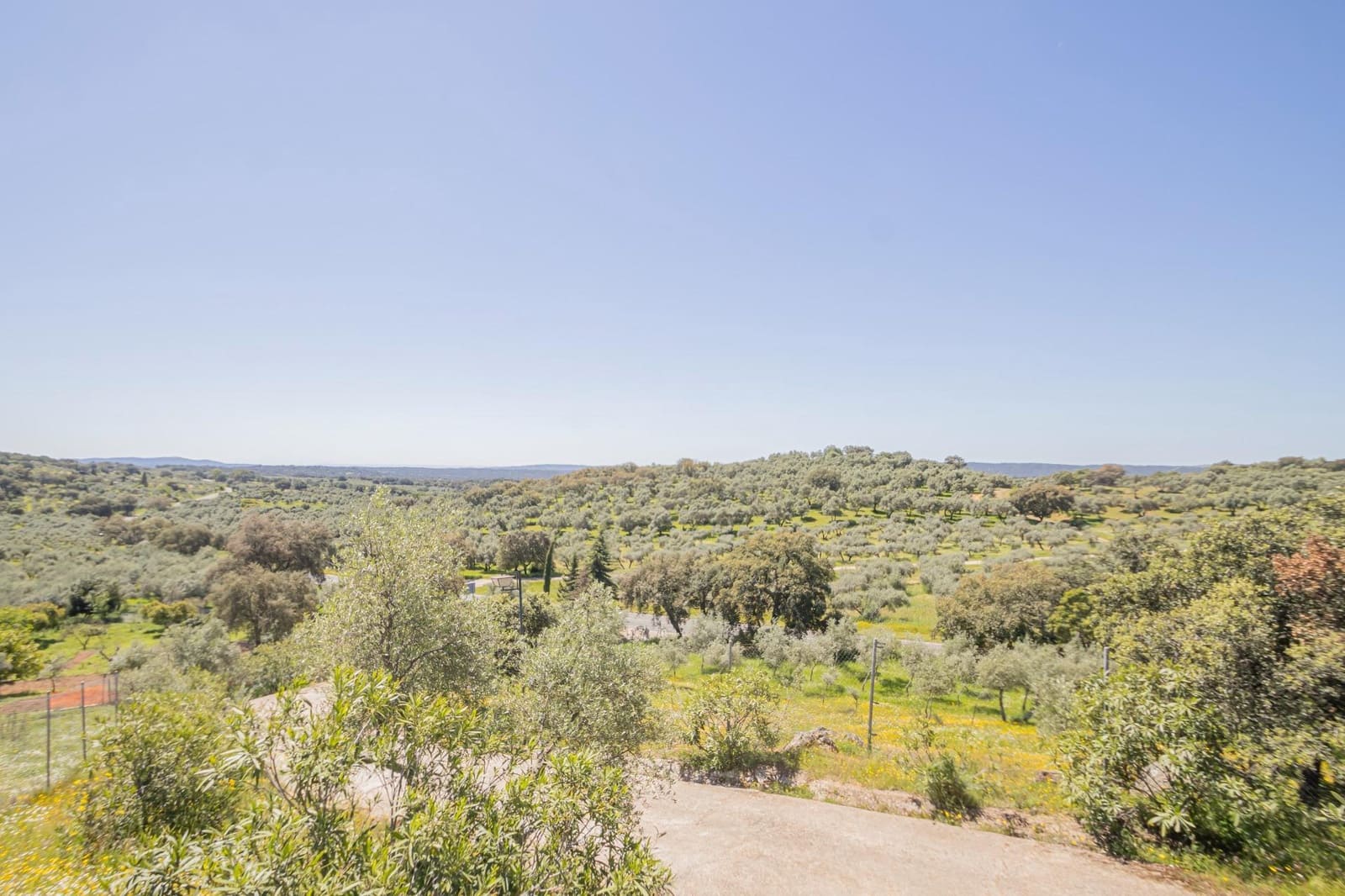 Grond te koop in El Pedroso - € 300.000 (Ref: 8986111)