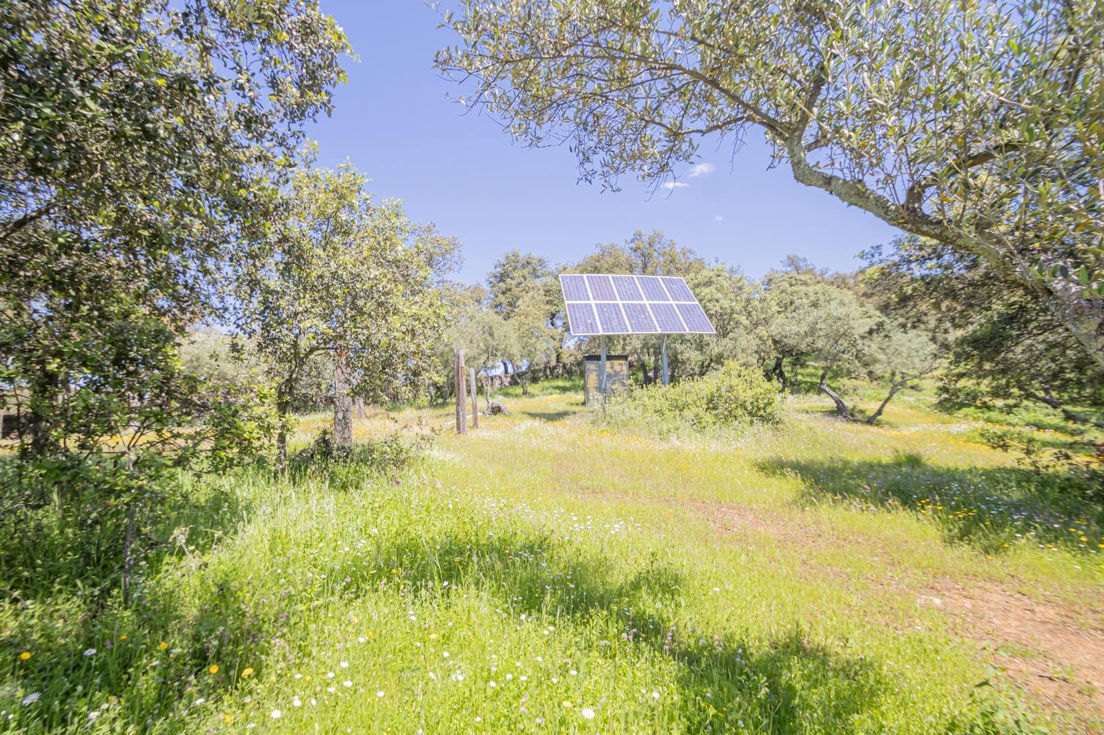 Undeveloped Land for sale in El Pedroso - € 300,000 (Ref: 8986111)