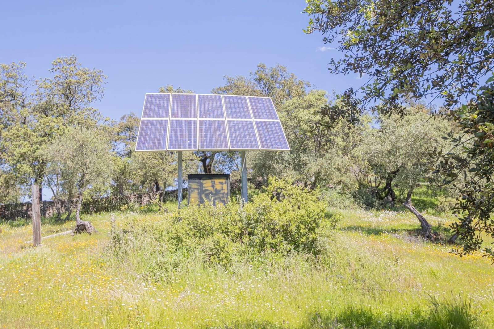 Undeveloped Land for sale in El Pedroso - € 300,000 (Ref: 8986111)