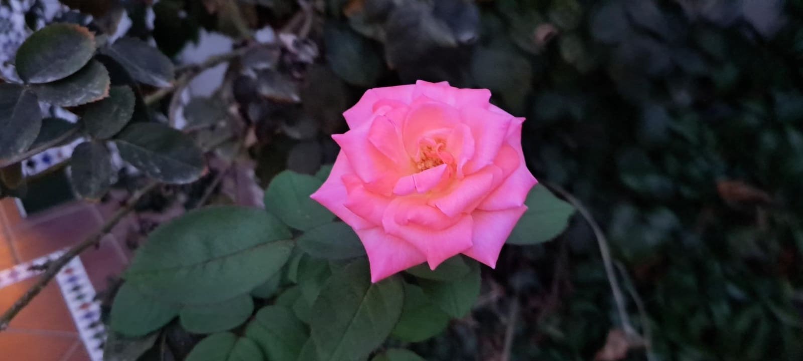 4 makuuhuone Rivitalo myytävänä paikassa Mairena del Aljarafe mukana uima-altaan - 275 000 € (Ref: 8988614)