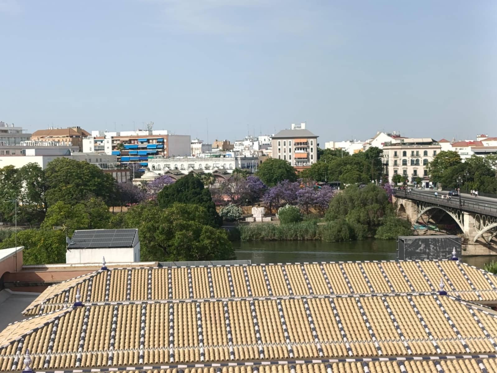 4 bedroom Terraced Villa for sale in Seville city - € 985,000 (Ref: 9197985)