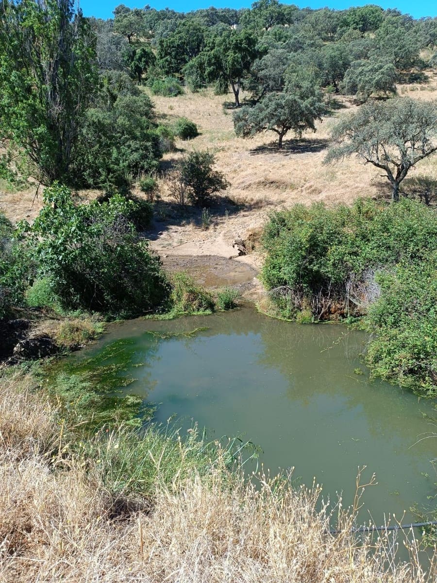 Grunde uden byggetilladelser til salg i Cazalla de la Sierra - € 750.000 (Ref: 9282301)