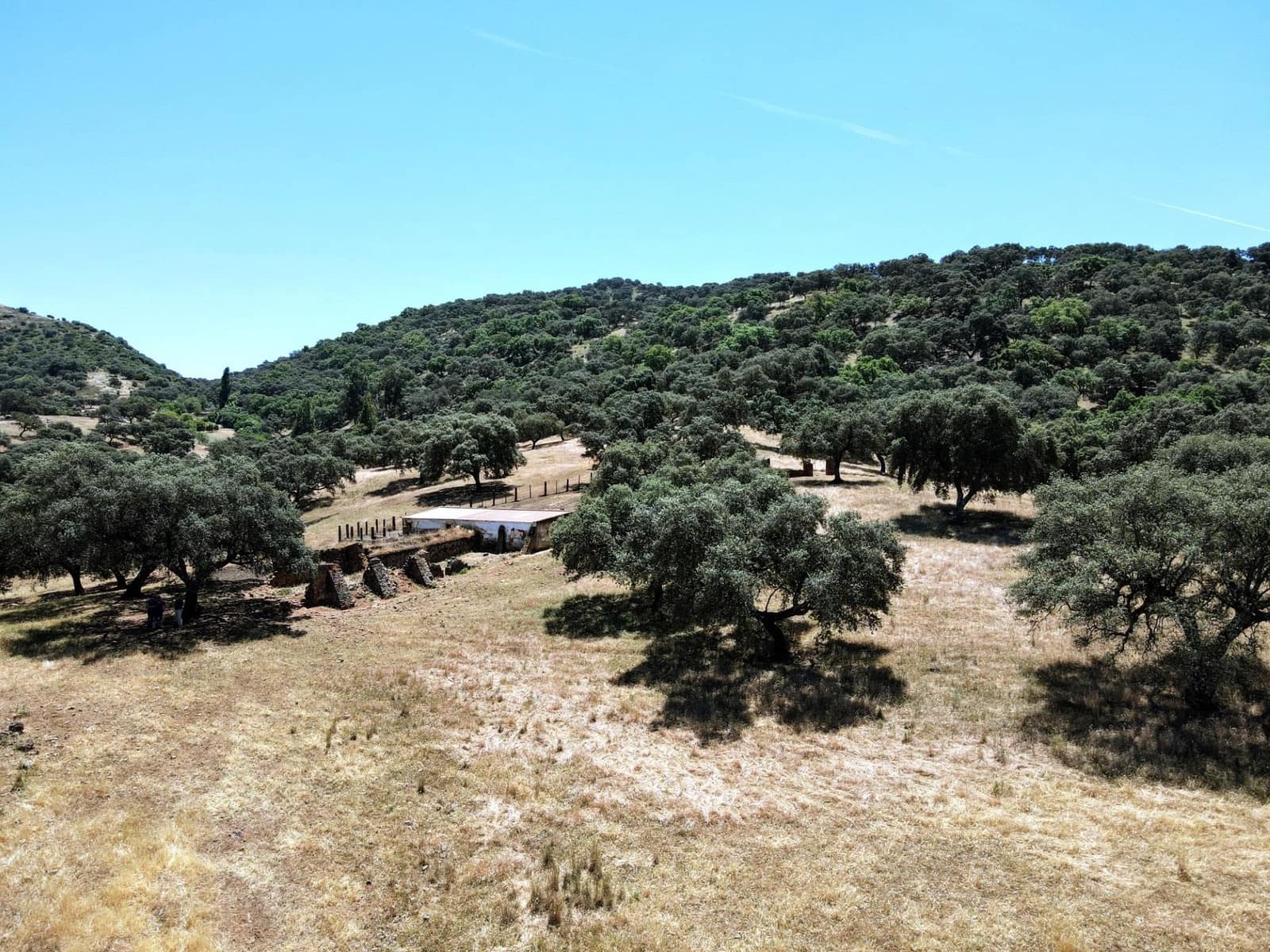 Ubebygd land til salgs i Cazalla de la Sierra - € 750 000 (Ref: 9282301)