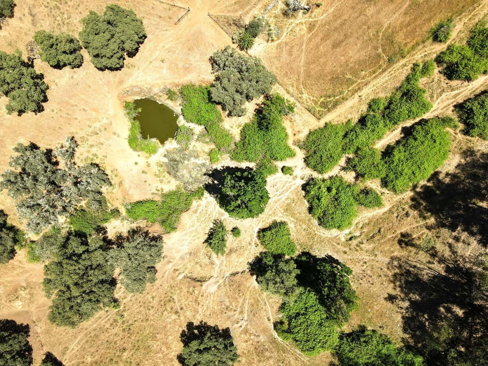 Ubebygd land til salgs i Cazalla de la Sierra - € 750 000 (Ref: 9282301)