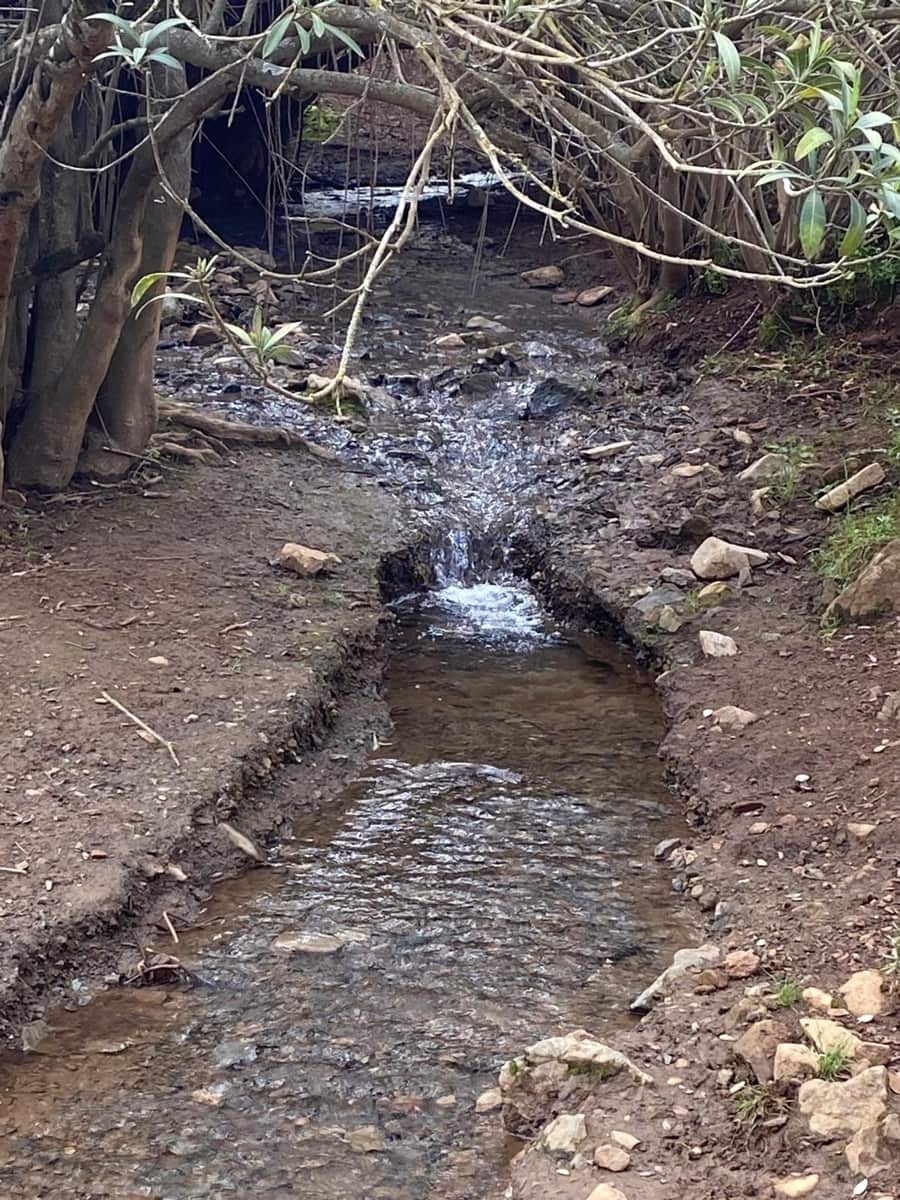 Grunde uden byggetilladelser til salg i Cazalla de la Sierra - € 750.000 (Ref: 9282301)