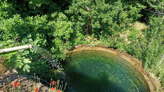 Ubebygd land til salgs i Cazalla de la Sierra - € 750 000 (Ref: 9282301)