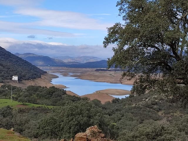 Grunde uden byggetilladelser til salg i Cazalla de la Sierra - € 695.000 (Ref: 9282301)